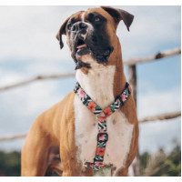 Шлея для собак Zee.Dog - Mahalo H-harness