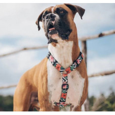 Шлея для собак Zee.Dog - Mahalo H-harness