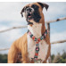 Шлея для собак Zee.Dog - Mahalo H-harness