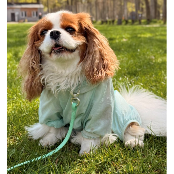 Пильник напівпрозорий Airy Mint, унісекс