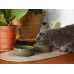 Керамічна миска для їжі Olive Sphere Ceramic Bowl