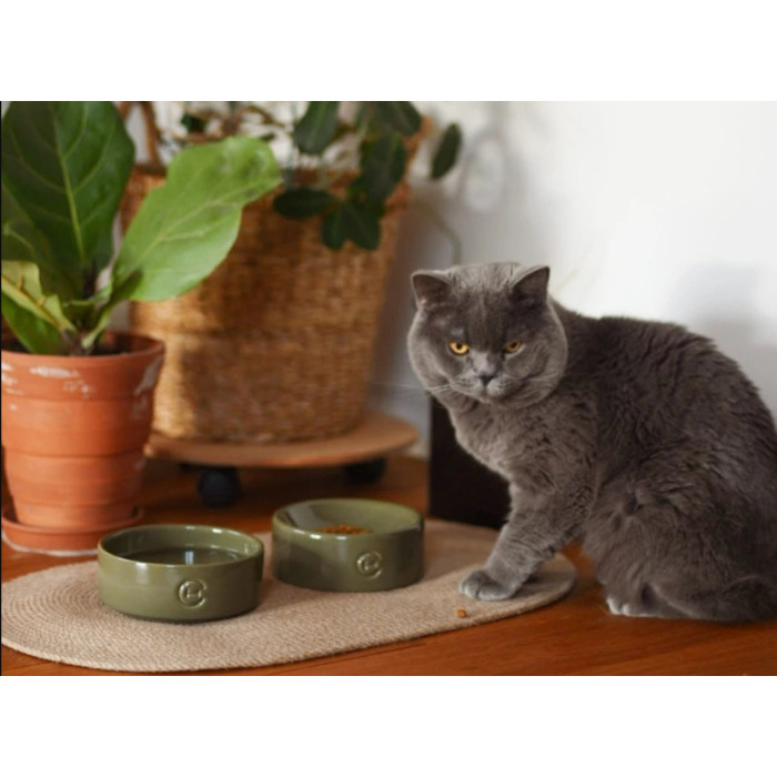 Керамічна миска для їжі Olive Sphere Ceramic Bowl