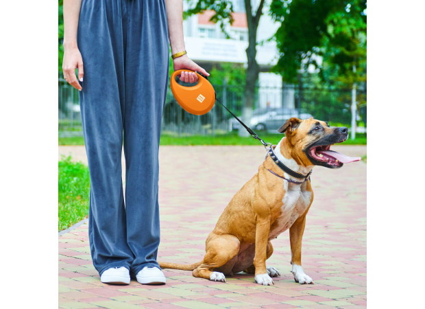 Повідець-рулетка для собак WAUDOG R-leash з контейнером, M, до 20 кг, 5 м