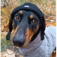 Шапка для собак Hat-Dog Акрил Чорна