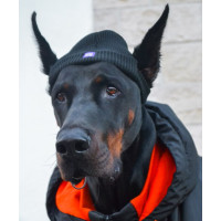 Шапка для собак Hat-Dog Акрил Чорна