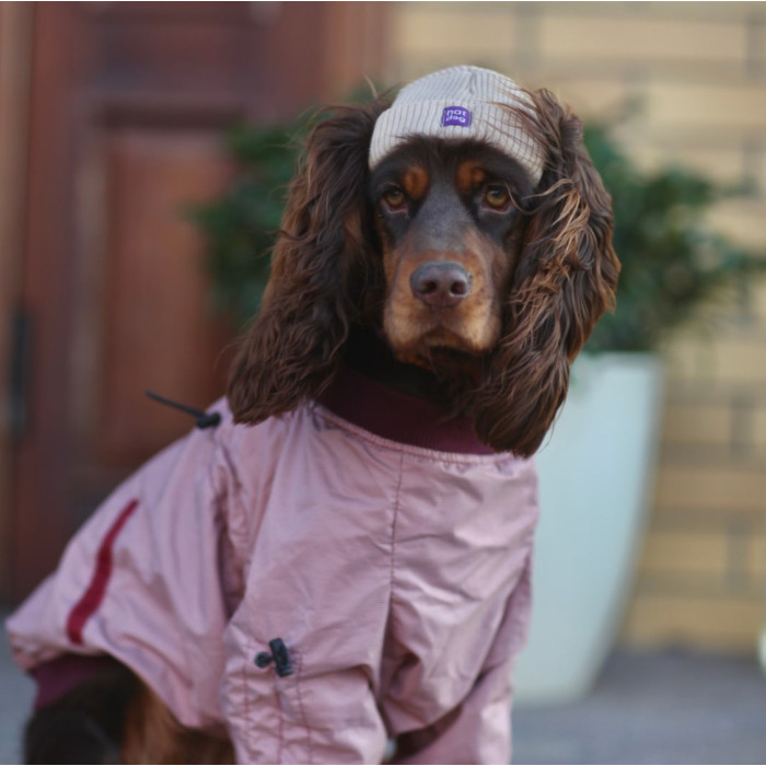 Шапка для собак Hat-Dog акрилова, бежева