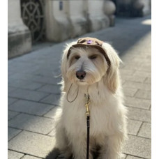 Панама для собак Hat-Dog вельвет Капучино