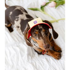 Панама для собак Hat-Dog котон Лимонний сорбет