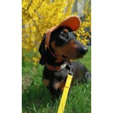 Кепка для собак Hat-Dog котон Оранж, S