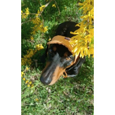Кепка для собак Hat-Dog котон Оранж, S
