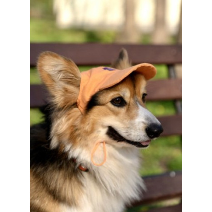 Кепка для собак Hat-Dog котон Оранж, S