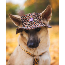 Панама для собак Hat-Dog вельвет Лео