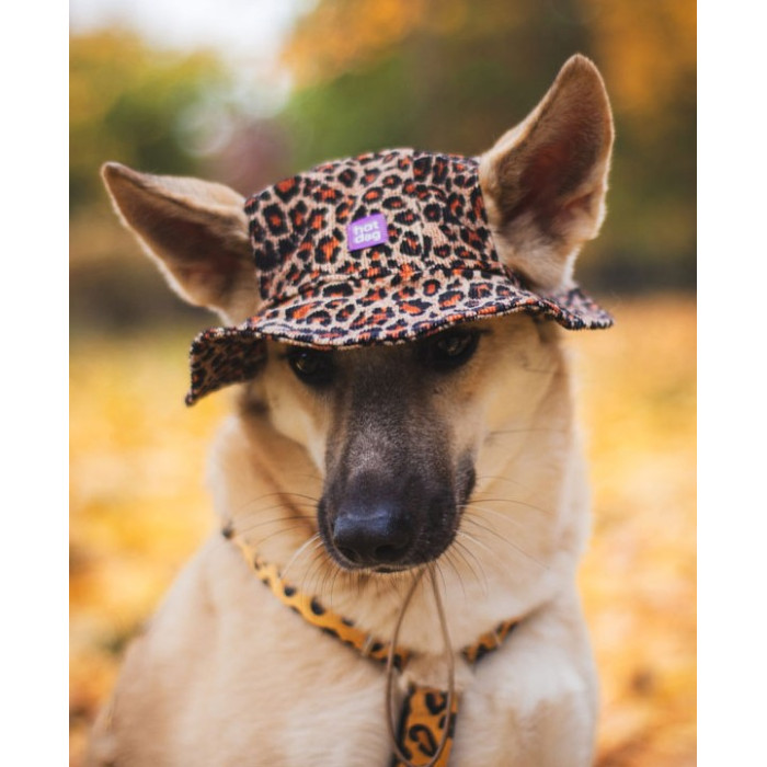Панама для собак Hat-Dog вельвет Лео