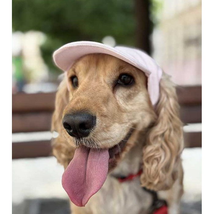 Кепка для собак Hat-Dog льон Рожева