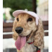 Кепка для собак Hat-Dog льон Рожева